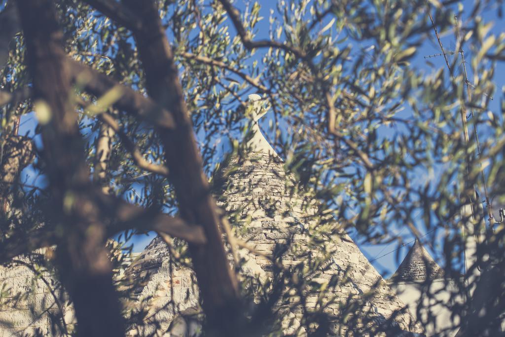 Vila Residenze Nei Trulli Alberobello Exteriér fotografie